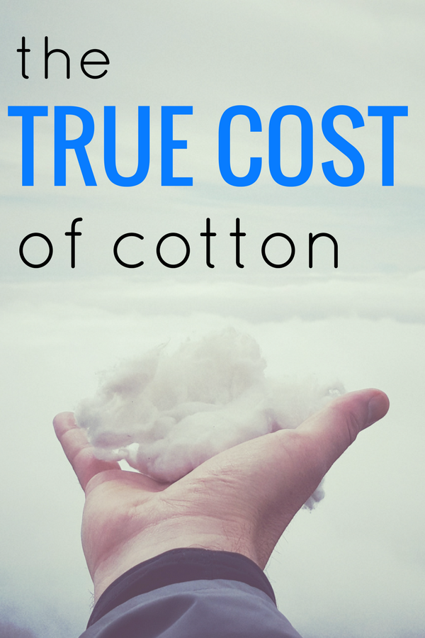 World Water Day 2017 The True Cost of Conventional Cotton BuyMeOnce